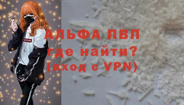 стаф Арсеньев