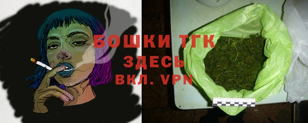 стаф Арсеньев