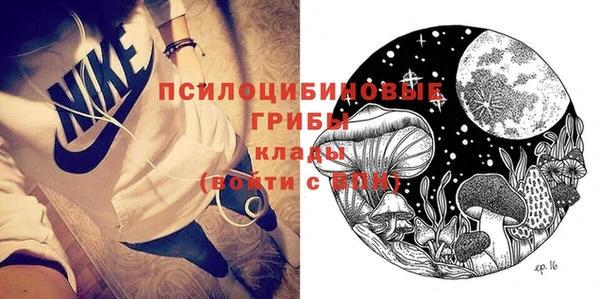 дмт Аркадак