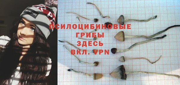 стаф Арсеньев